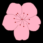 WWW,se223·COM网站APPAPP应用
